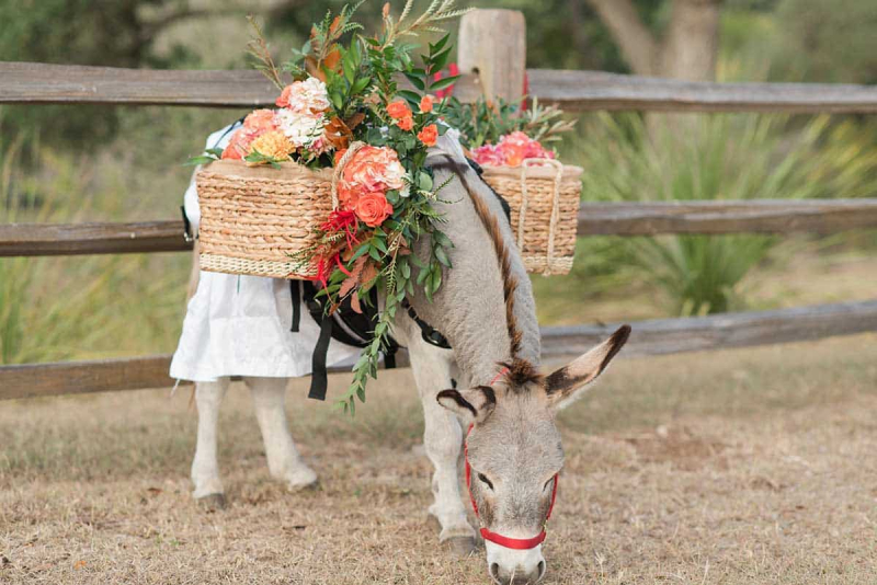 beer-burros-wedding
