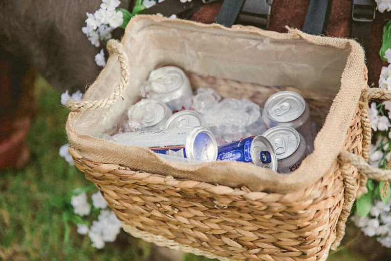 beer-donkeys-party