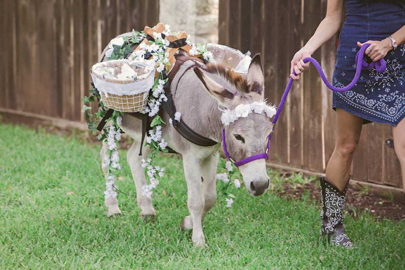 rustic-wedding-animals
