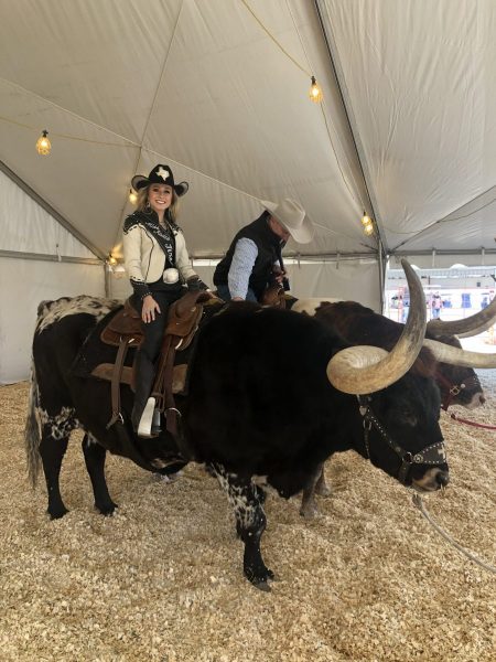 IMG_3859-scaled