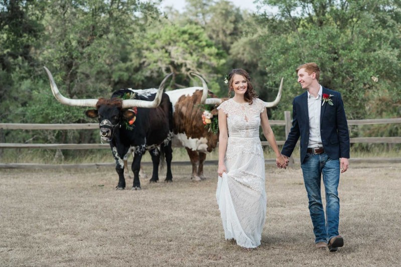 longhorns-for-hire