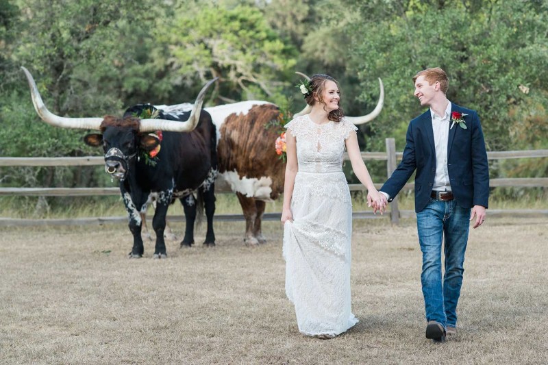 wedding-rustic-longhorns