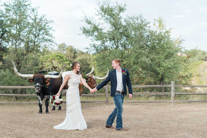 longhorns-for-western-events