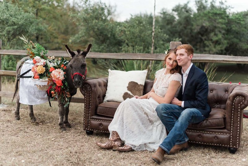 wedding-donkeys-houston
