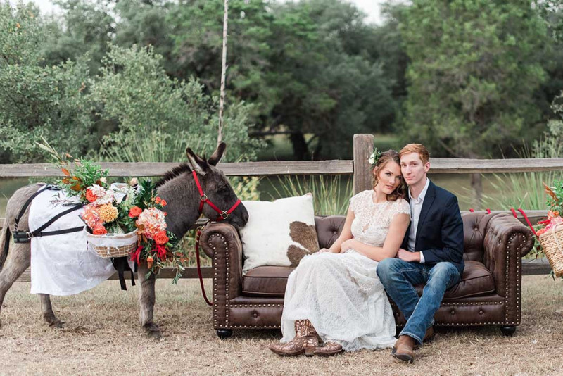 wedding-donkeys-texas