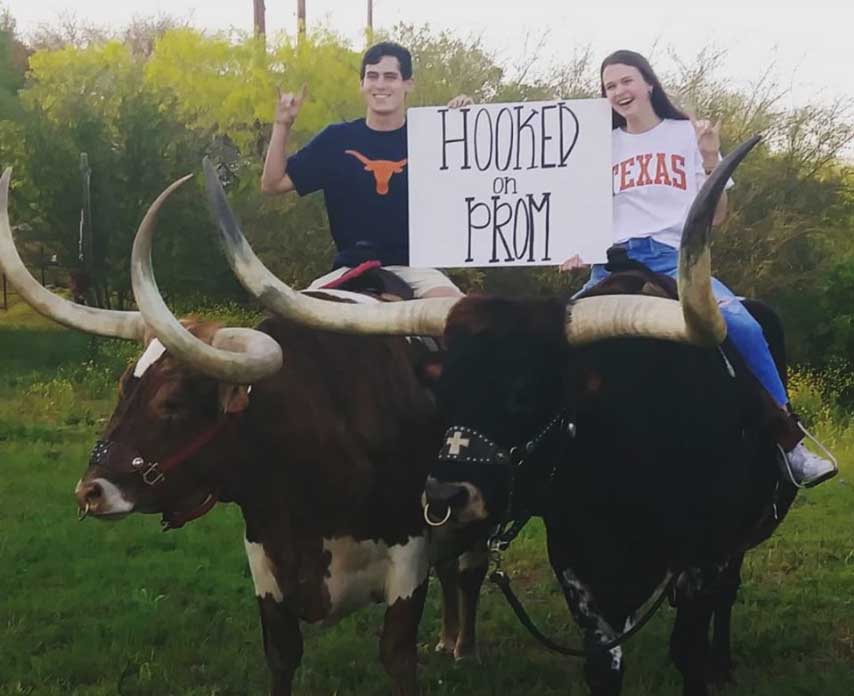University of Texas students riding longhorns getting asked to prom