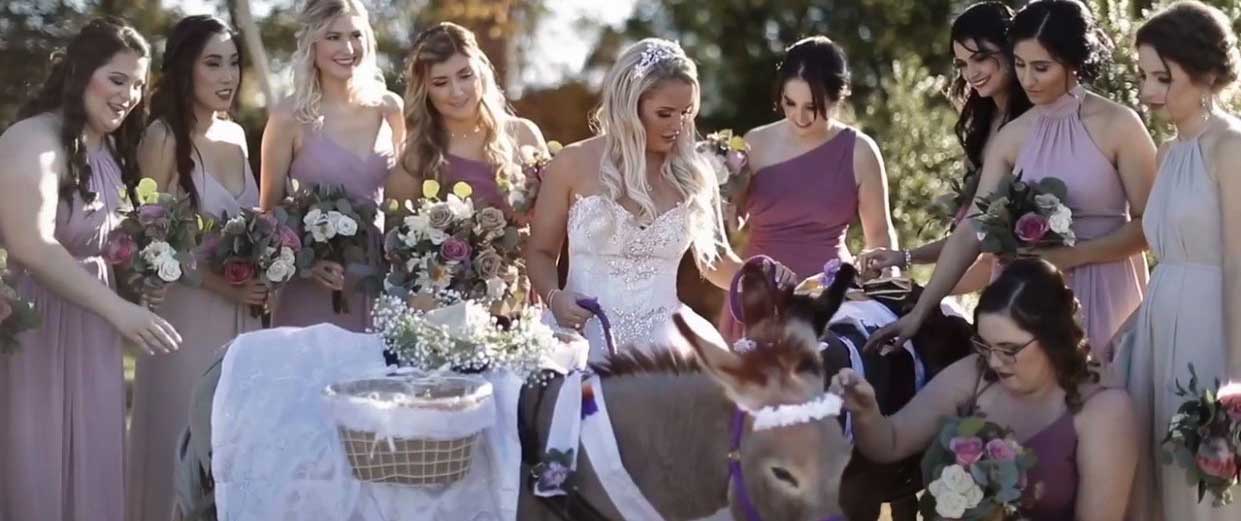 A blonde bride standing with mini burros who are carrying baskets of flower petals, surrounded by bridesmainds