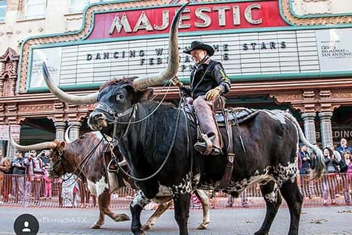 man riding longhorn steer rental in front of majestic theater in san antonio rodeo parade with crosstranch